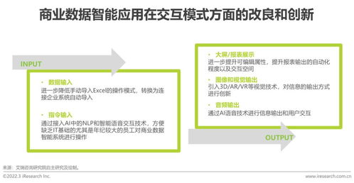 2022年中国商业数据智能行业研究 标准化服务的崛起与挑战